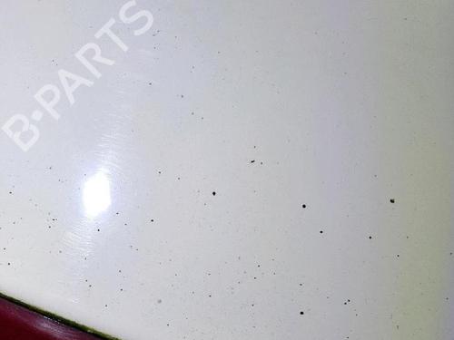 Tailgate RENAULT TWINGO II (CN0_) 1.2 16V (CN04, CN0B) | BP30077425C6 