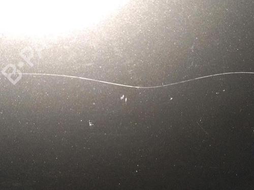 Dør højre bagtil BMW 5 (E39) 530 d | BP29952519C5 