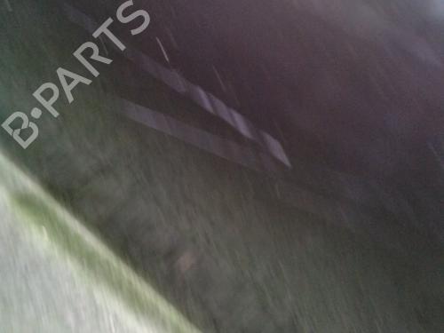 Right front door RENAULT CLIO III (BR0/1, CR0/1) 1.2 16V Hi-Flex (BR1U, CR1U) | BP32093307C3 