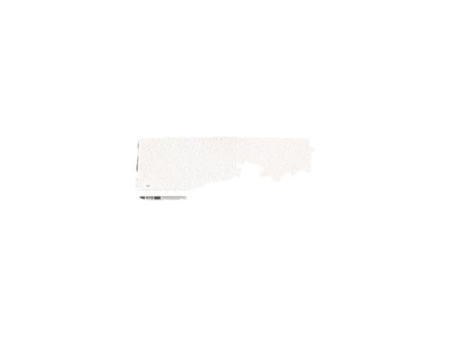 hood-renault-kangoo-express-fw01_-2008-38226070 main image