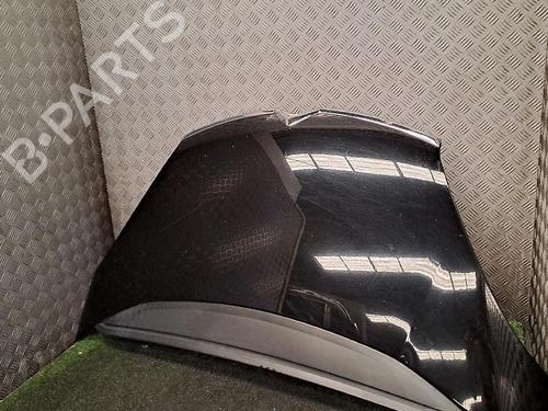 Hood CITROËN C4 Picasso I MPV (UD_) 1.6 HDi 110 | BP30076794C1