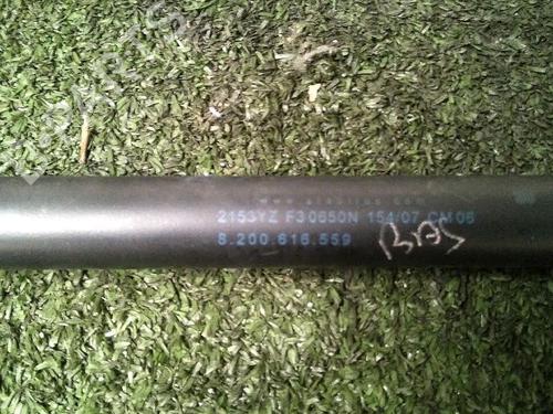 Used Tailgate lift support RENAULT SCÉNIC II (JM0/1_) 1.5 dCi (JM1E, JM16) (106 hp) 30073294