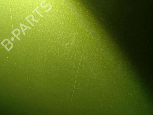 Left front door PEUGEOT 1007 (KM_) 1.4 HDi | BP30076553C2