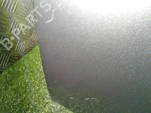 Left front door BMW 3 (E90) 320 d | BP19080459C2 