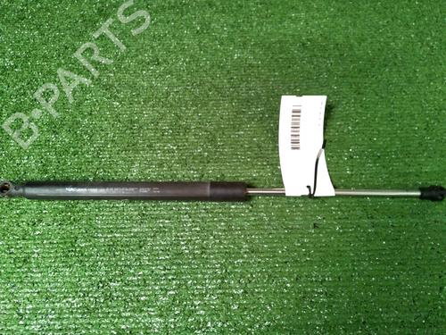Gassdemper Bakluke RENAULT CLIO III (BR0/1, CR0/1) 1.5 dCi (C/BR0G, C/BR1G) (68 hp) 17159784