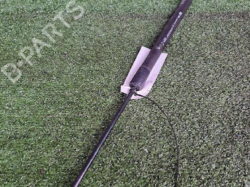 tailgate-lift-support-renault-clio-iv-bh_-2012-2013-2014-2015-2016-2017-2018-2019-2020-2021-29946981 main image