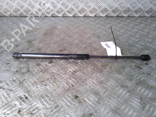 Used Tailgate lift support RENAULT MEGANE II Coupé-Cabriolet (EM0/1_) 2.0 (135 hp) 14546856