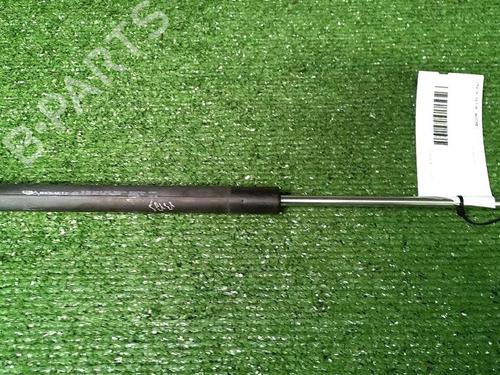 Used Tailgate lift support RENAULT CLIO III (BR0/1, CR0/1) 1.5 dCi (C/BR0G, C/BR1G) (68 hp) 29951689