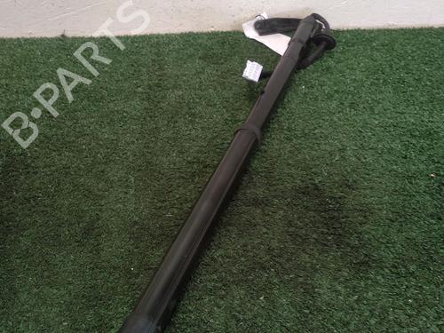 Used Tailgate lift support NISSAN X-TRAIL III (T32_, T32R, T32RR) 1.6 dCi (T32) (130 hp) 29948941