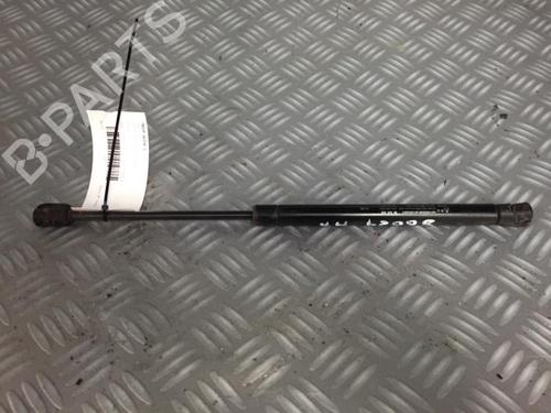 Tailgate lift support CHEVROLET AVEO / KALOS Hatchback (T250, T255) 1.2 LPG | BP30072644C138