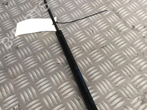 Used Tailgate lift support FIAT PANDA (169_) 1.2 (169AXF2A, 169AXF1A) (69 hp) 30072689