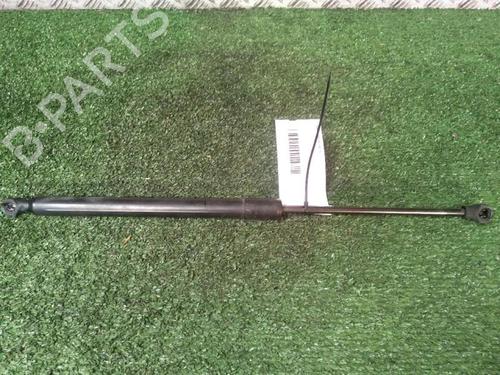 tailgate-lift-support-renault-clio-iv-bh_-2012-2013-2014-2015-2016-2017-2018-2019-2020-2021-30074119 main image