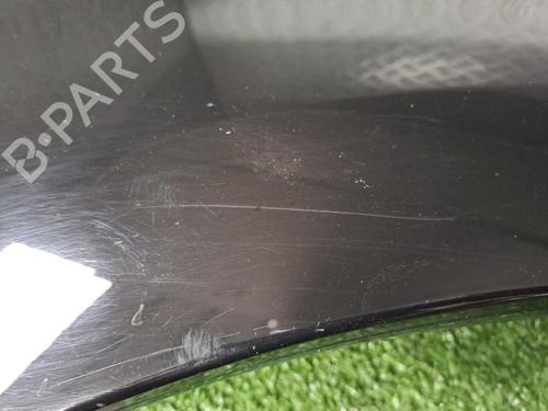 Left front fenders CITROËN C4 Picasso I MPV (UD_) 1.6 HDi 110 | BP20229745C41 