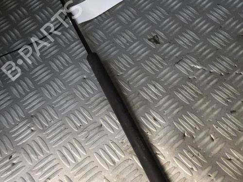 Used Tailgate lift support Tailgate lift support RENAULT CLIO I (B/C57_, 5/357_) 1.2 (B/C/S57A, B/C57S, 5/357F, 5/357J, 5/357L, 5/357R) (58 hp) 29951302 29951302