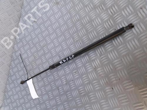 Tailgate lift support RENAULT GRAND SCÉNIC III (JZ0/1_) 1.9 dCi (JZ0J, JZ0N, JZ1K, JZ1S) | BP30072651C138