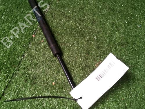 Tailgate lift support RENAULT GRAND SCÉNIC II (JM0/1_) 1.9 dCi (JM0G, JM12, JM1G, JM2C) | BP17162999C138 
