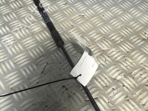 Gasdæmper bagklap CITROËN C3 III (SX) 1.6 BlueHDi 75 (75 hp) 29951280