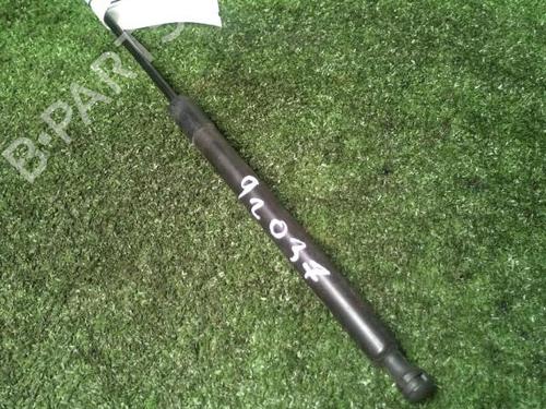 Used Tailgate lift support Tailgate lift support PEUGEOT 208 I (CA_, CC_) 1.6 HDi (92 hp) 30072419 30072419