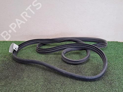 Used Rubber door seal RENAULT ZOE (BFM_) ZOE (BFMC, BFMD) (136 hp) 29949113