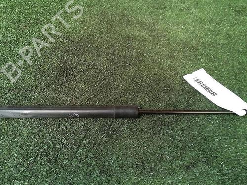 Used Tailgate lift support CITROËN C3 II (SC_) 1.4 (73 hp) 30075934