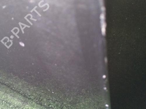 Left front door BMW 3 (E90) 320 d | BP30542206C2