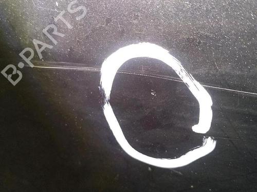 Left front door RENAULT MEGANE II (BM0/1_, CM0/1_) 1.6 16V | BP30076512C2