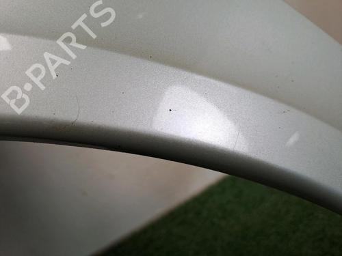 Left front fenders RENAULT LAGUNA II (BG0/1_) 1.9 dCi (BG08, BG0G) | BP25859167C41 