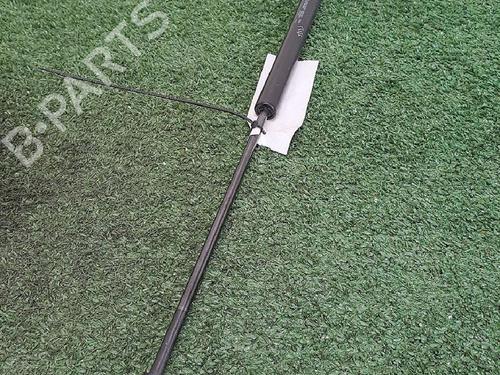 Tailgate lift support RENAULT TWINGO III (BCM_, BCA_) 1.0 SCe 70 | BP29947767C138