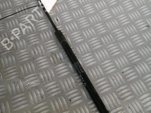 tailgate-lift-support-citroen-c4-ii-nc_-2009-30072646 main image