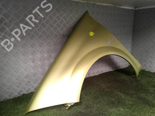 Left front fenders RENAULT MEGANE II (BM0/1_, CM0/1_) 1.6 16V (BM0C, CM0C) | BP19391167C41 