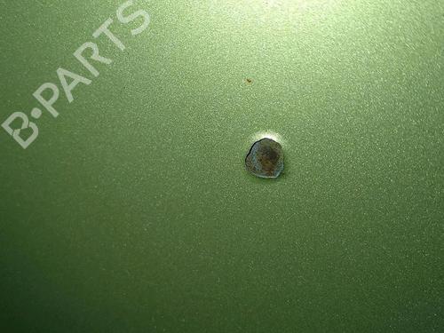 Capot RENAULT MEGANE II (BM0/1_, CM0/1_) 1.9 dCi (BM0G, CM0G) (120 hp) 30076393