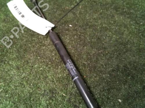 tailgate-lift-support-dacia-duster-hs_-2010-2011-2012-2013-2014-2015-2016-2017-2018-30073195 main image