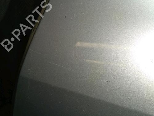 Left rear door RENAULT CLIO III (BR0/1, CR0/1) 1.5 dCi (BR17, CR17) | BP21390463C4 