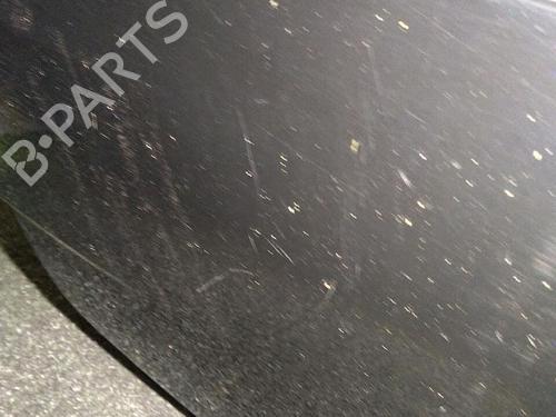 Tailgate RENAULT MEGANE III Coupe (DZ0/1_) 1.5 dCi (DZ09, DZ0D, DZ1F, DZ1G, DZ14, DZ29) | BP30076027C6 