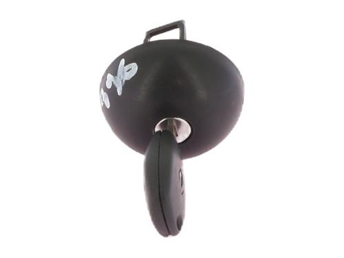 Used Fuel cap RENAULT TWINGO II (CN0_) 1.5 dCi 75 (75 hp) 30200146