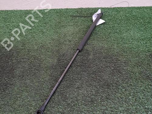 tailgate-lift-support-renault-koleos-i-hy_-2008-37729876 main image