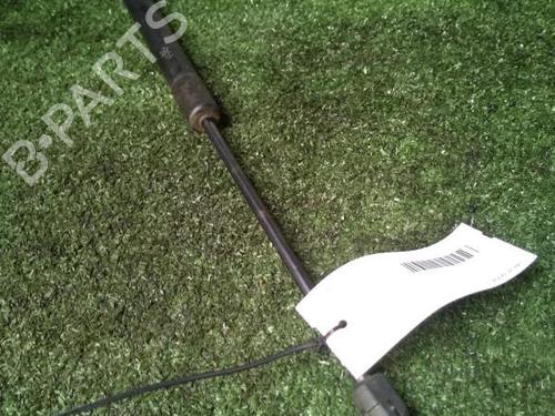 Tailgate lift support OPEL ZAFIRA / ZAFIRA FAMILY B (A05) 1.9 CDTI (M75) | BP29951205C138