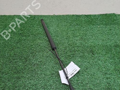 tailgate-lift-support-citroen-c3-picasso-sh_-2008-30068300 main image