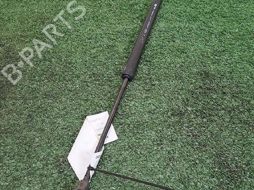tailgate-lift-support-renault-clio-iv-bh_-2012-2013-2014-2015-2016-2017-2018-2019-2020-2021-29947889 main image