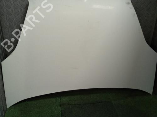 Used Hood FIAT DOBLO Cargo (263_) 1.3 D Multijet (90 hp) 29950616