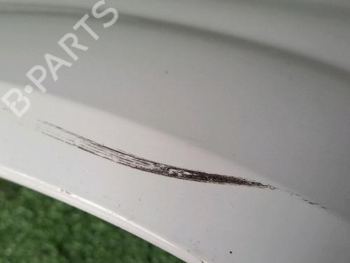 Right front fenders RENAULT MEGANE II (BM0/1_, CM0/1_) 1.5 dCi (BM02, BM13, BM2A, CM02, CM13) | BP30076874C42 