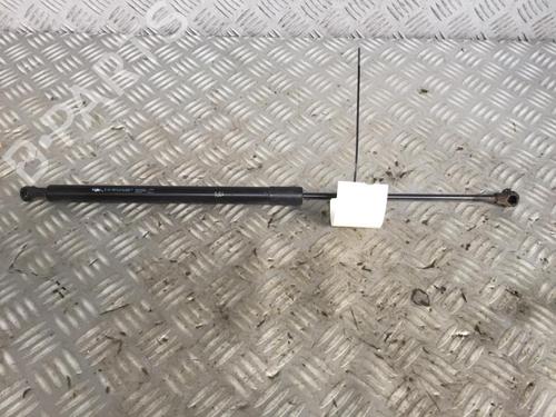 Tailgate lift support CITROËN C3 Picasso (SH_) 1.6 HDi 110 | BP29951248C138