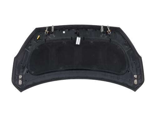 Used Hood Hood HYUNDAI i20 I (PB, PBT) 1.4 CRDi (90 hp) 40223755 40223755