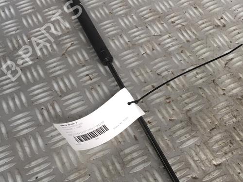 Tailgate lift support CITROËN SAXO (S0, S1)  | BP17162677C138 