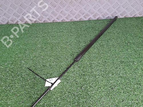 Used Tailgate lift support Tailgate lift support RENAULT KANGOO / GRAND KANGOO II (KW0/1_) 1.5 dCi 90 (KW05, KW08, KW0G, KW11) (90 hp) 37729615 37729615