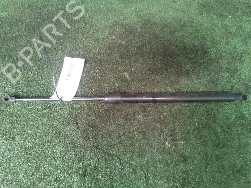 Used Tailgate lift support Tailgate lift support RENAULT SCÉNIC III (JZ0/1_) 1.5 dCi (106 hp) 30073242 30073242