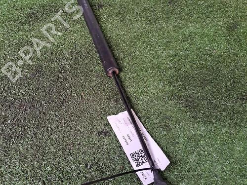 Used Tailgate lift support CITROËN BERLINGO MULTISPACE (B9) 1.6 HDi 75 16V (75 hp) 22018118