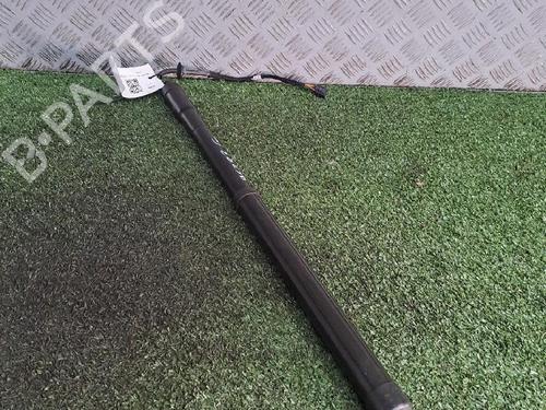 Used Tailgate lift support LAND ROVER RANGE ROVER EVOQUE (L538) 2.2 D 4x4 (190 hp) 22990539