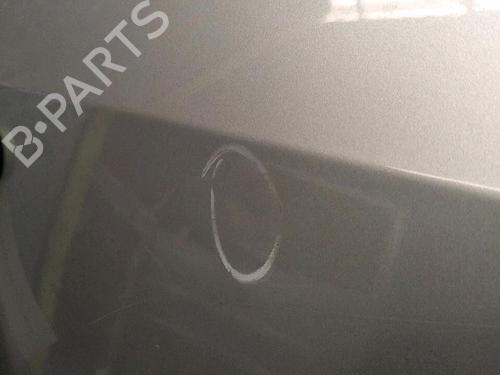 Right front door FIAT ULYSSE (179_) 2.0 JTD | BP29950882C3 