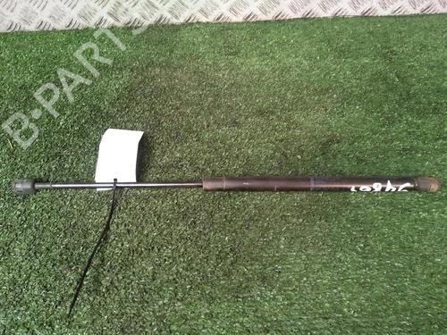 Tailgate lift support MINI MINI (R50, R53) One | BP17162268C138 